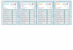 Vorschau - Spiele - Aminosäuren – Trumpf Kartenspiel - Seite 3