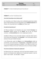 Vorschau - Stundenentwürfe - Fotosynthese - Unterschied Licht- und Schattenblätter - Deckblatt
