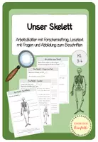 Vorschau - Arbeitsblätter - Skelett und Knochen (differenzierte Arbeitsblätter) - Deckblatt