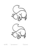 Vorschau - Mal- und Bastelvorlagen - SweetSquirrel - Mal- und Bastelvorlage Eichhörnchen - Seite 2