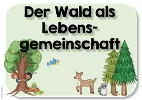 Vorschau - Präsentationen/Tafelbilder - Reihentransparenz Themen Sachunterricht Klasse 4 - Seite 2