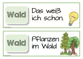 Vorschau - Präsentationen/Tafelbilder - Reihentransparenz Themen Sachunterricht Klasse 4 - Seite 3