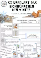 Vorschau - Arbeitsblätter - Das Eichhörnchen im Winter - Kartei und Arbeitsblätter - Deckblatt