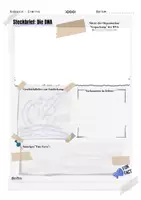 Vorschau - Arbeitsblätter - Biologie - DNA-Steckbrief Vorlage - Seite 3