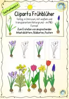 Vorschau - selbst erstellte Cliparts/Grafiken - Cliparts: Frühblüher - Deckblatt