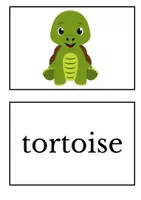 Vorschau - Bildkarten - Zoo Animals Picture + Word Cards - Seite 1
