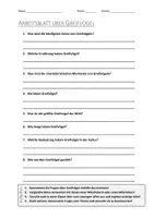 Vorschau - Arbeitsblätter - Lernposter + AB mit Fragen zum Thema "Greifvögel" + Lösungsblatt + Infografik - Seite 1