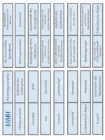 Vorschau - Spiele - Biologie: Genetik Begrifflichkeiten - Domino und Quiz Test - Seite 2