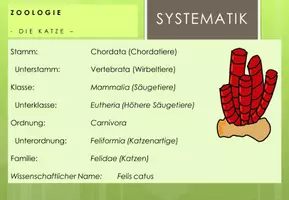Vista previa - Hojas de trabajo - Zoologie: Taxonomie und Klassifikation - página 1