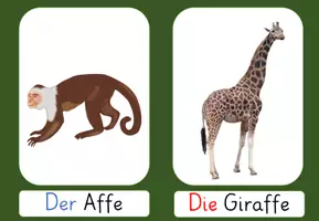 Vorschau - Präsentationen/Tafelbilder - Im Tiergarten Bildkarten - Seite 2