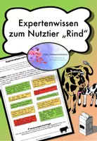 Vorschau - Arbeitsblätter - Rind Expertenwissen (Abschluss) - Deckblatt