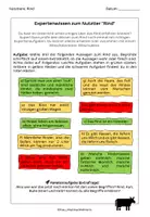 Vorschau - Arbeitsblätter - Rind Expertenwissen (Abschluss) - Seite 1