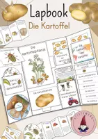 Vorschau - Stundenentwürfe - Lapbook: Die Kartoffel - Deckblatt