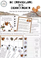 Vorschau - Arbeitsblätter - Eichhörnchen Materialpaket - Seite 3