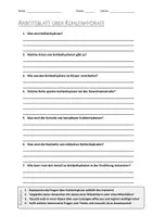 Vorschau - Arbeitsblätter - AB mit Fragen zum Thema "Kohlenhydrate" + Lösungsblatt + Mindmap + Infografik - Deckblatt