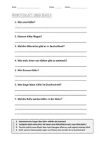 Vorschau - Arbeitsblätter - Lernplakat + AB mit Fragen zum Thema "Käfer" + Lösungsblatt + Infografik - Seite 1