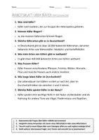 Vorschau - Arbeitsblätter - AB mit Fragen zum Thema "Käfer" + Lösungsblatt + Infografik - Seite 2