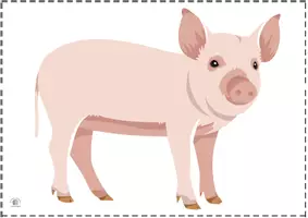 Vista previa - Tarjetas / Manipulativos - BITS ANIMALES DE LA GRANJA (15) - página 3
