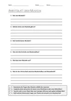 Vorschau - Arbeitsblätter - AB mit Fragen zum Thema "Muskeln" + Lösungsblatt + Mindmap + Infografik - Deckblatt