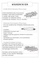 Vorschau - Merkblätter - Wolkenfamilien Infotext - Seite 2