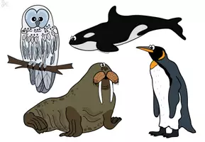 Vorschau - Fördermaterial/Inklusion - Wahrnehmung: Tiere der Arktis & Antarktis - Seite 3