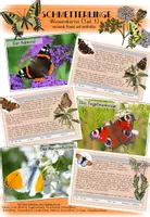 Vorschau - Bildkarten - Wissenskartei 1 - Schmetterlingsarten - Deckblatt