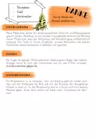 Vorschau - Bildkarten - Wissenskartei 1 - Schmetterlingsarten - Seite 1