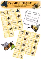 Vorschau - Arbeitsblätter - Wildbienen und Hummeln XXL Paket - Seite 2
