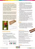 Vorschau - Stundenentwürfe - Es klappert die Mühle - Orff, leicht gemacht - Seite 3