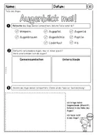 Vorschau - Arbeitsblätter - Teile des Auges (Sinnesorgane, Sehen) - Seite 1
