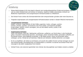 Vorschau - Fördermaterial/Inklusion - Klettaufgaben: Verhalten reflektieren - Seite 1