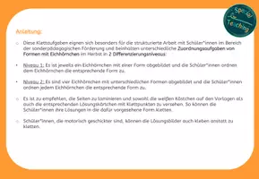 Vorschau - Fördermaterial/Inklusion - Klettaufgaben: Formen im Herbst / Wahrnehmung - Seite 1