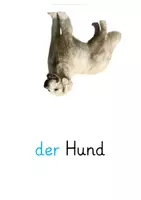 Vorschau - Spiele - DaZ Haustiere - Seite 3
