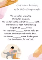 Vorschau - Arbeitsblätter - Materialsammlung Schulhund kennenlernen - Seite 2