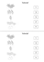 Vorschau - Arbeitsblätter - Herbstliches Aufgabenheft für die Vorschule - Seite 3