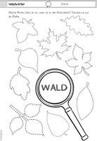 Vorschau - Unterrichtsreihen - Wald - Seite 3