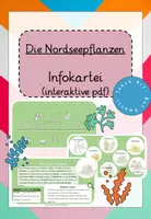 Vorschau - Präsentationen/Tafelbilder - Die Nordsee - Wissenskarteien zu Besonderheiten, Tieren und Pflanzen - Seite 1