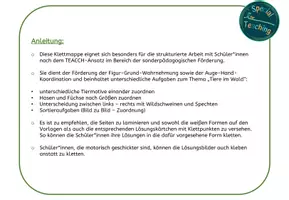 Vorschau - Fördermaterial/Inklusion - Wahrnehmung: Tiere im Wald - Seite 1