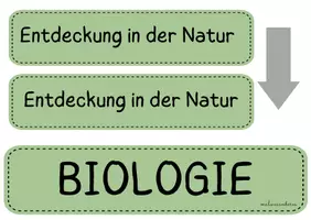Vorschau - Präsentationen/Tafelbilder - BIONIK Einführung Tafelbild - Seite 3