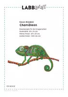 Vorschau - Mal- und Bastelvorlagen - Chamäleon - Riesen-Poster Vorlagen - Seite 2