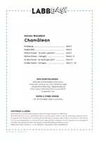 Vorschau - Mal- und Bastelvorlagen - Chamäleon - Riesen-Poster Vorlagen - Seite 3