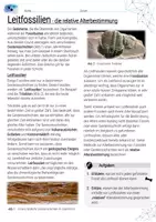 Vorschau - Arbeitsblätter - Leitfossilien und die relative Altersbestimmung / Evolution - AB mit Lösungen - Seite 1