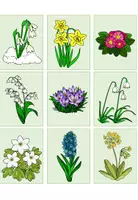 Vorschau - Spiele - Frühblüher Grundschule | Memory Sachunterricht Frühling Klasse 1-3 - Seite 3