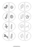 Vorschau - Bildkarten - Puzzle mit Wort- und Bildkarten der verschiedenen Bäume (Früchte und Blätter) - Seite 3