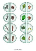 Vorschau - Bildkarten - Puzzle mit Wort- und Bildkarten der verschiedenen Bäume (Früchte und Blätter) - Seite 2