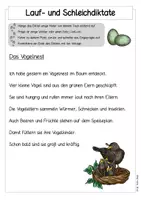 Vorschau - Stationenlernen - Lauf- & Schleichdiktate - Mitwachsendes Materialpaket - Seite 2
