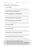 Vorschau - Arbeitsblätter - AB mit Fragen zum Thema "Organe" + Lösungsblatt + Infografik - Deckblatt