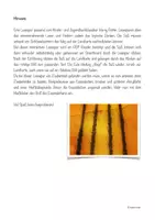 Vorschau - Aufgabenkarten - Harry P - Der verschwundene Zauberstab - Interaktive Lesespur - Seite 3
