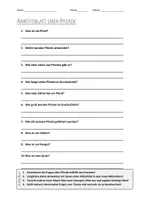 Vorschau - Arbeitsblätter - AB mit Fragen zum Thema "Pferde" + Lösungsblatt + Mindmap + Infografik - Deckblatt