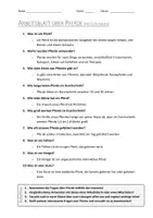 Vorschau - Arbeitsblätter - AB mit Fragen zum Thema "Pferde" + Lösungsblatt + Mindmap + Infografik - Seite 3